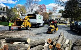Best Tree Health Inspection  in La Selva Beach, CA